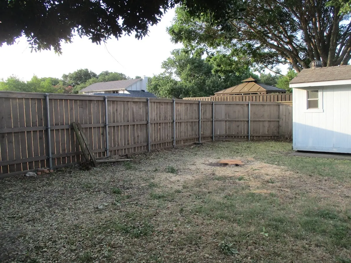 Cleared yard after professional tree removal in Roxbury Crossing